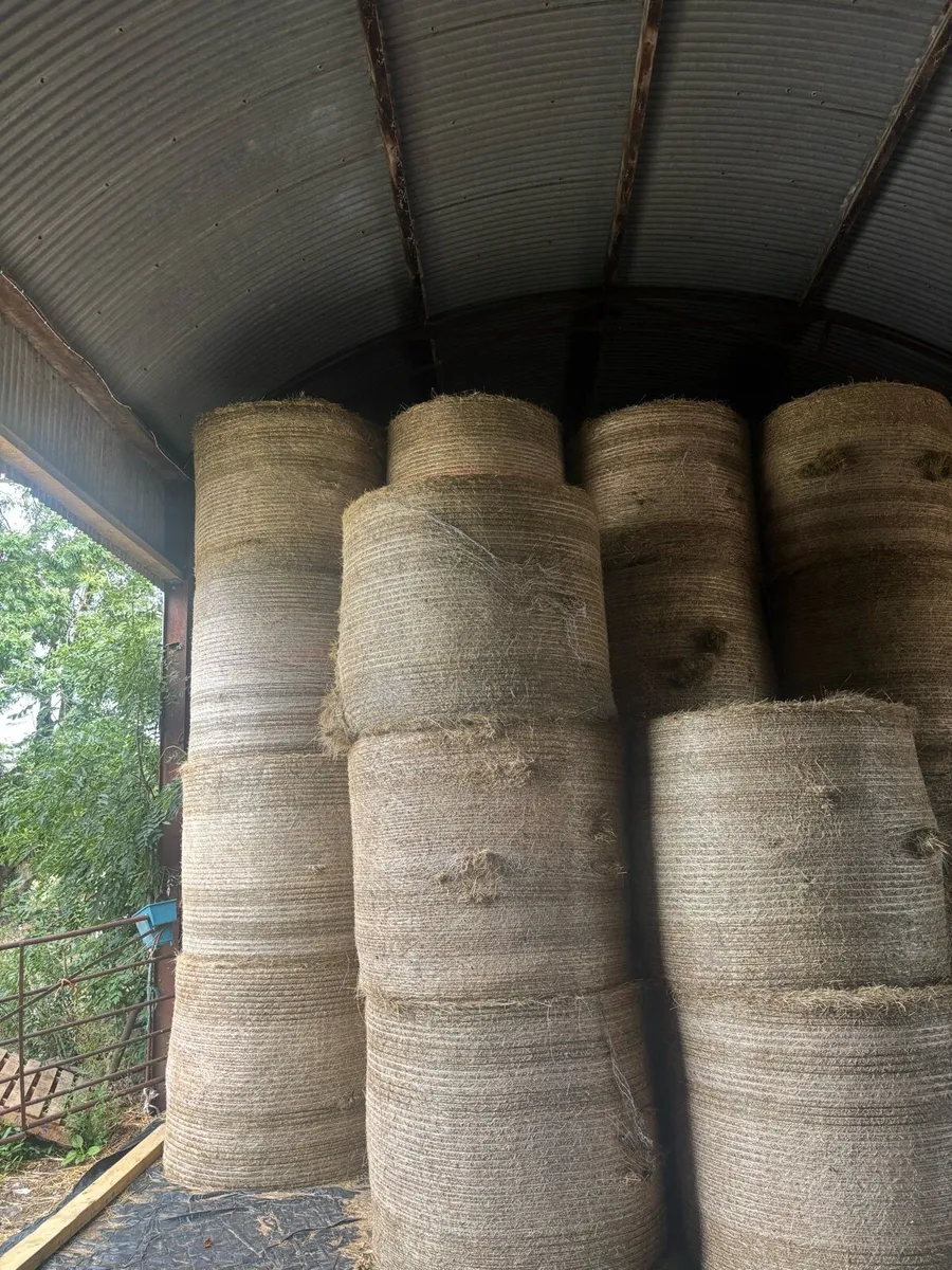 Top quality hay - Image 2