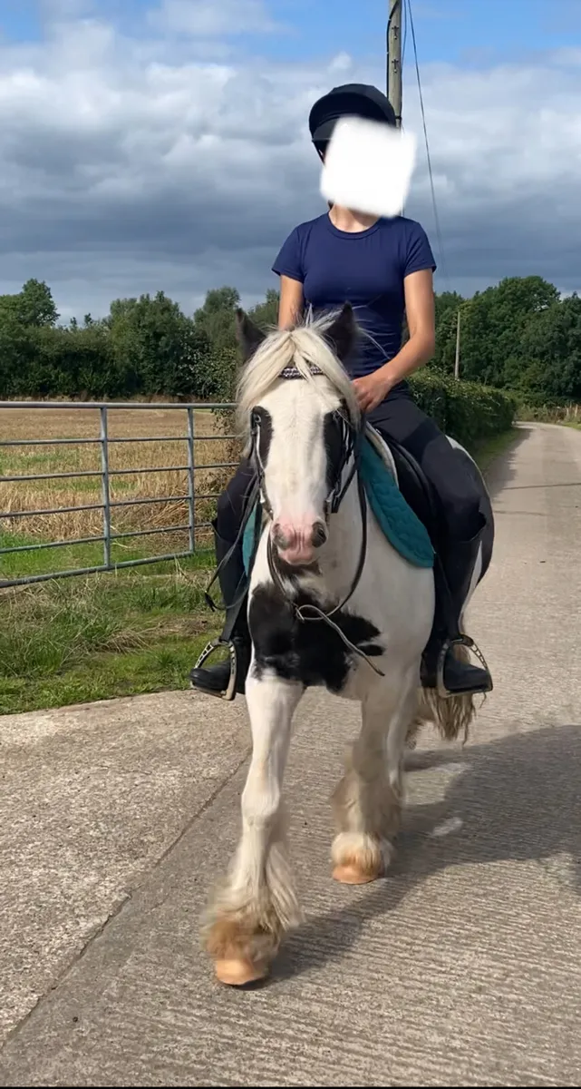Kids pony £1600 or nearest offer - Image 2