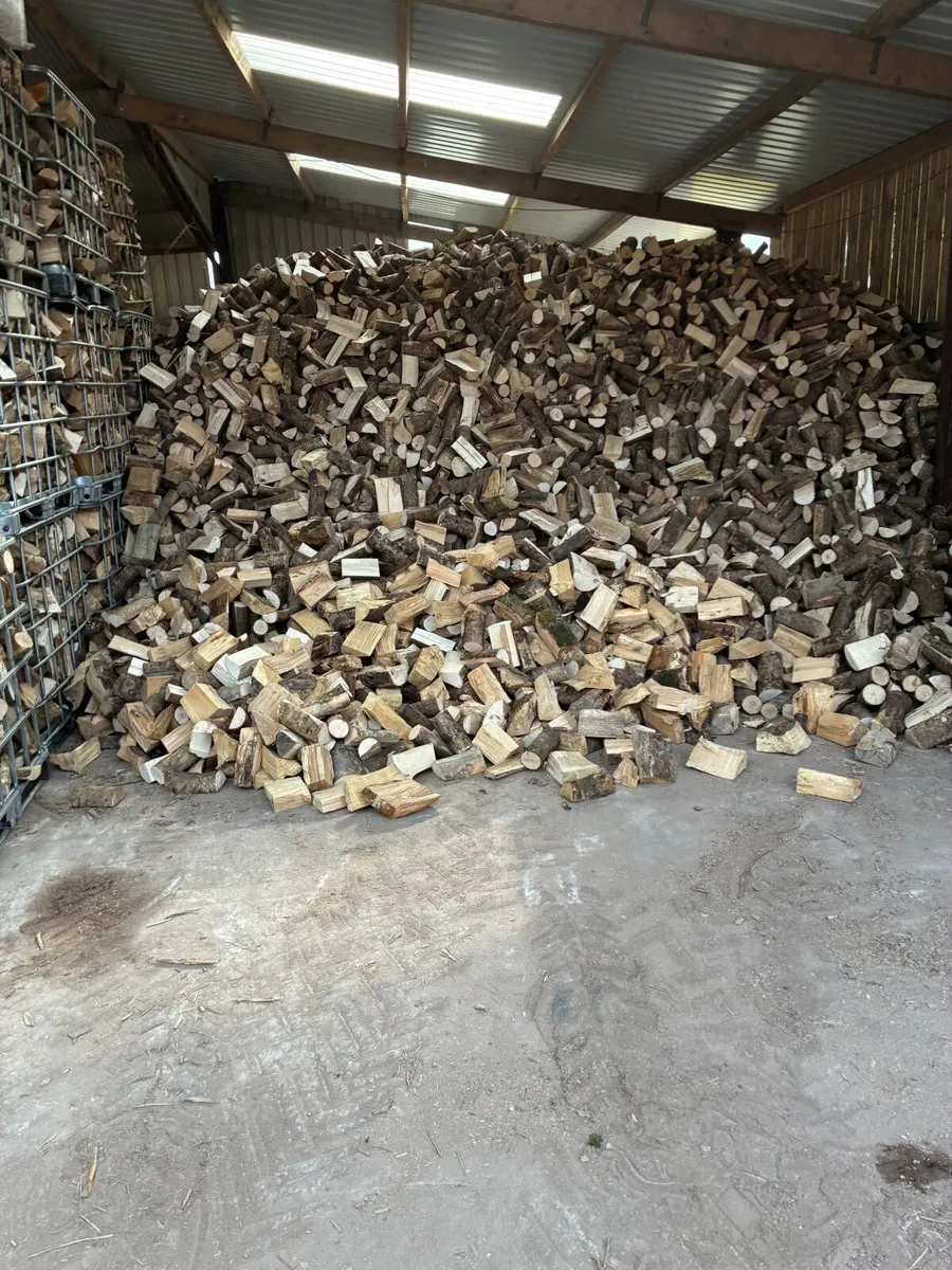 Firewood - Image 1