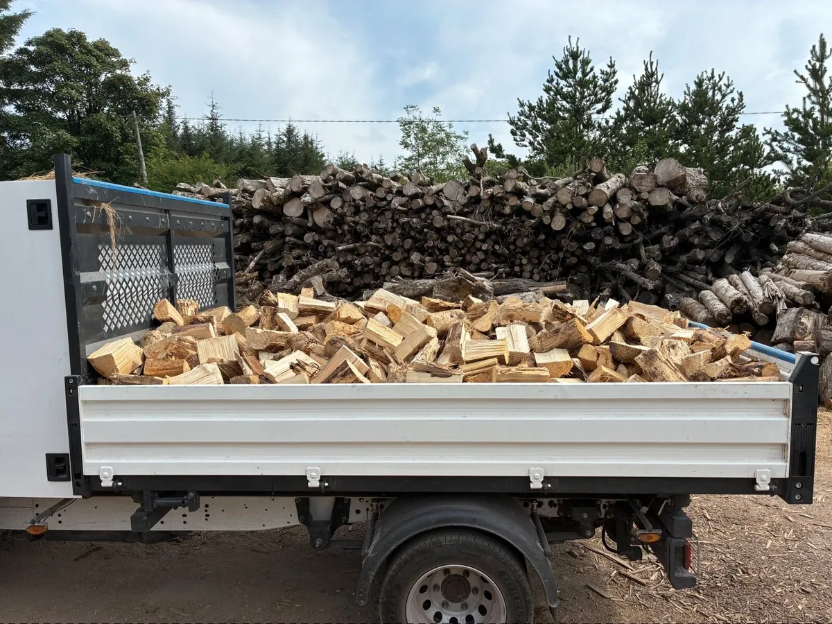 Firewood - Image 1