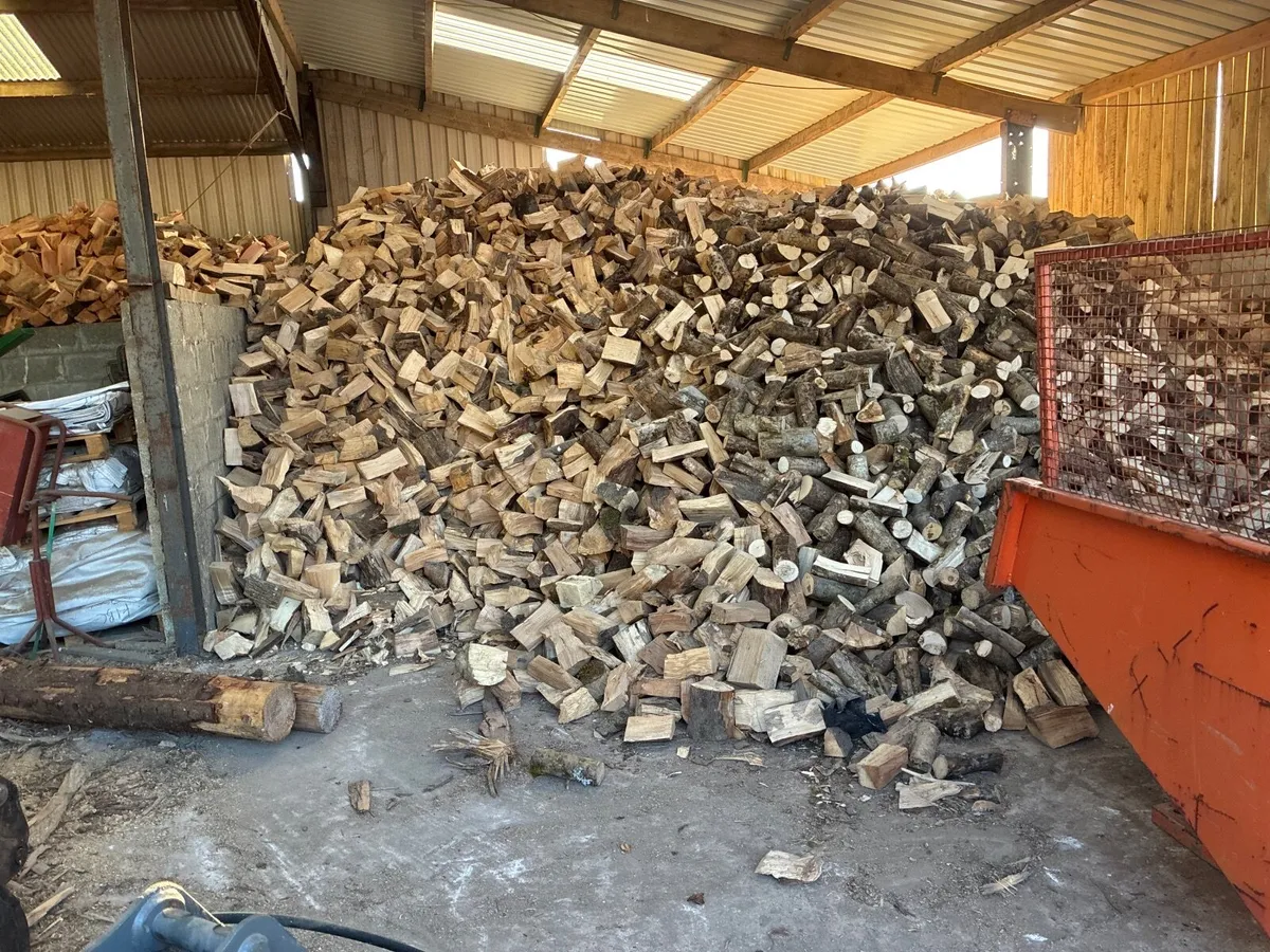 Firewood - Image 4