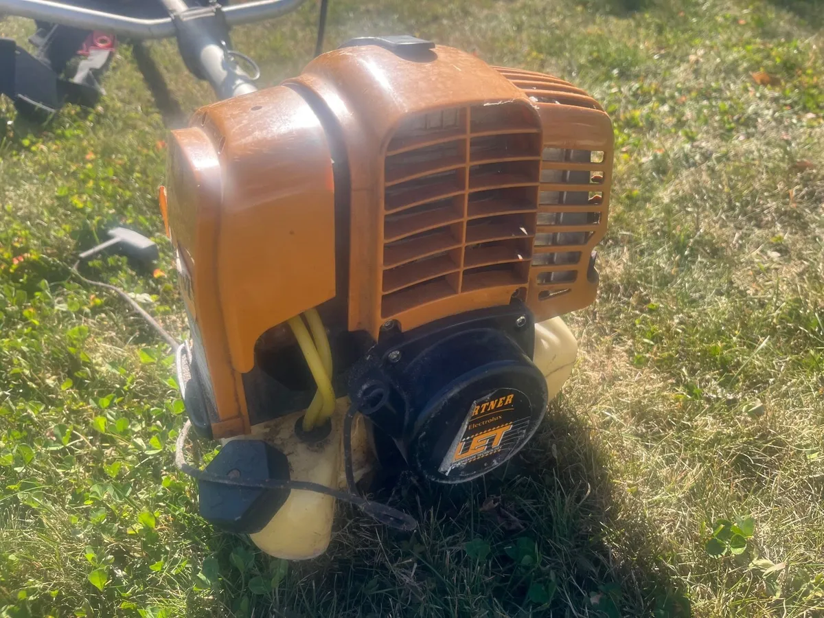 Strimmer - Image 3