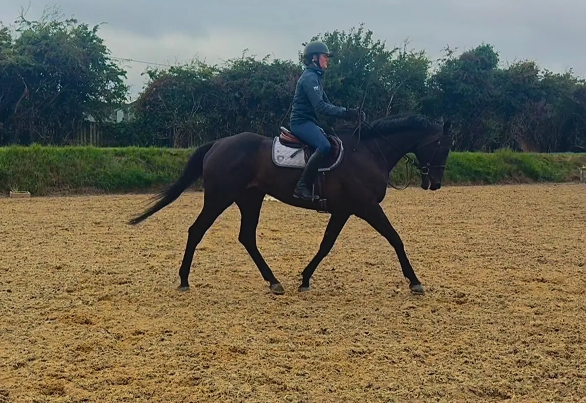 Stunning ROR prospect - Image 1
