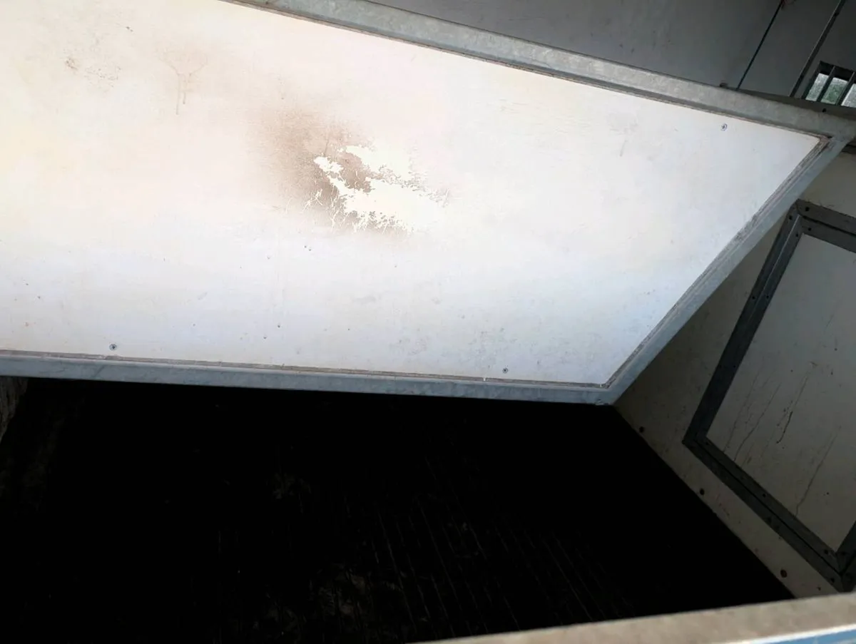 Horse van - Image 3