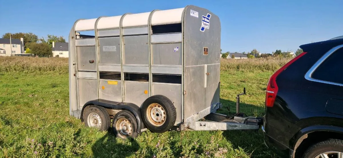IFOR WILLIAMS 8x5 livestock trailer. With DECKS - Image 1