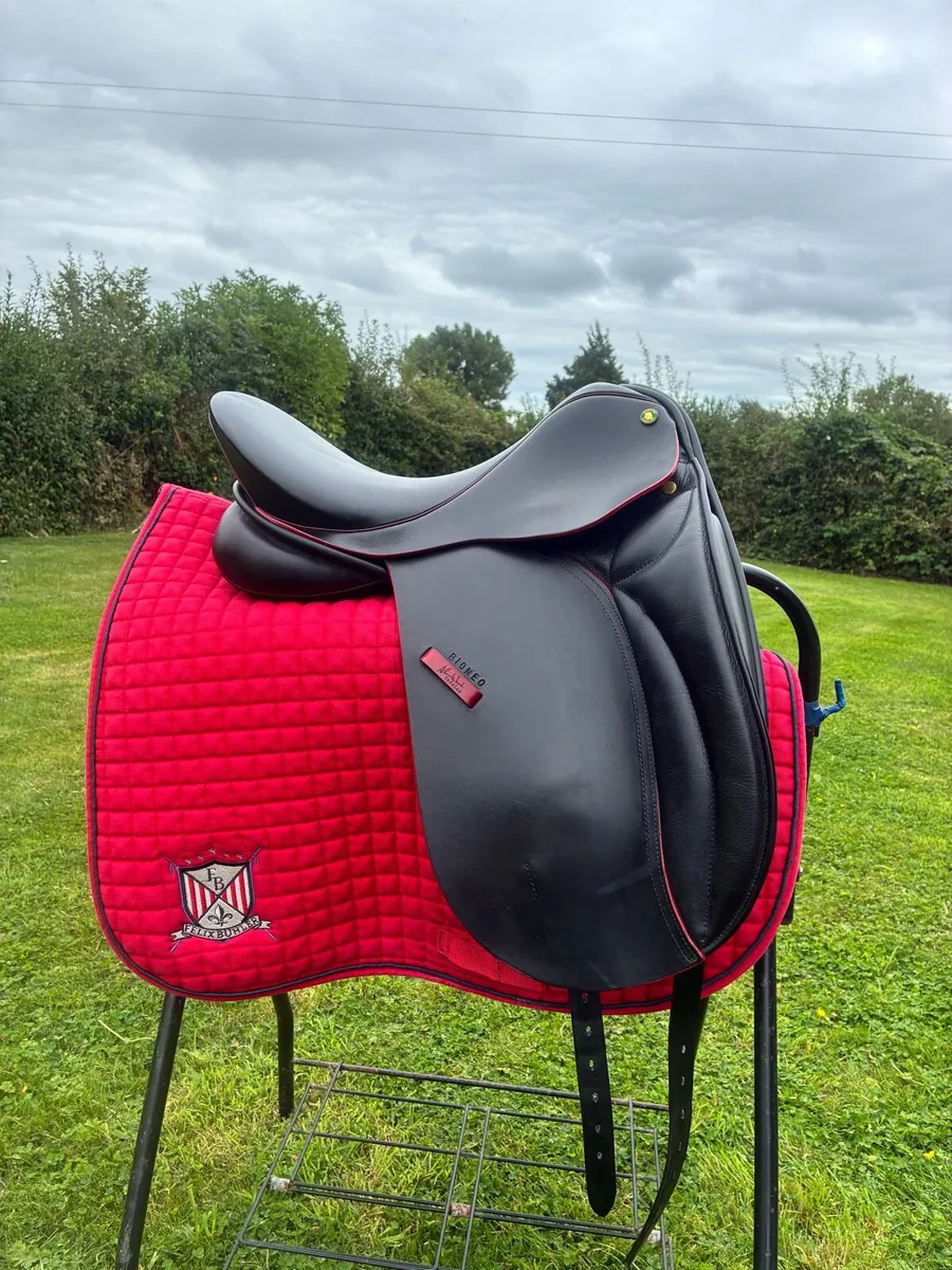 17”, Alan Ward Medium Dressage Saddle - Image 1