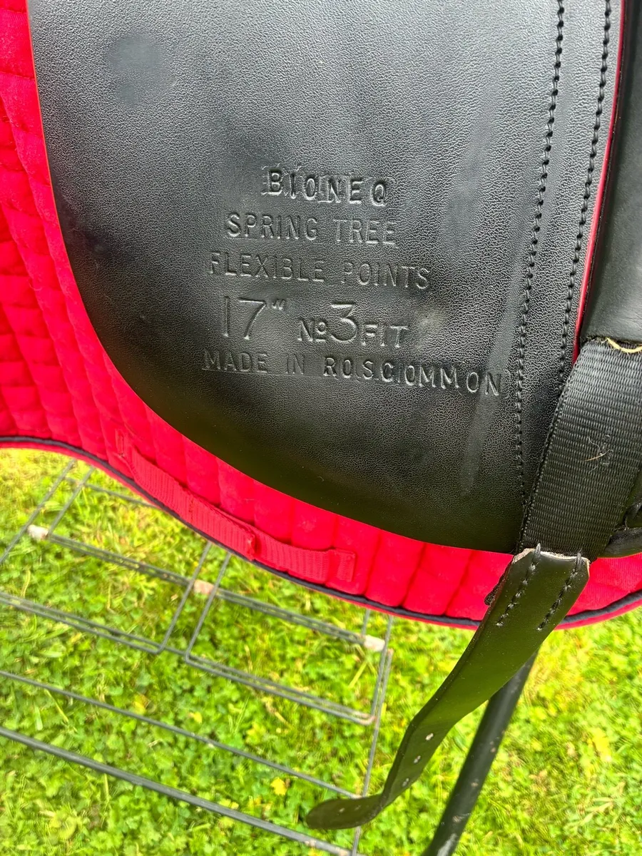 17”, Alan Ward Medium Dressage Saddle - Image 2