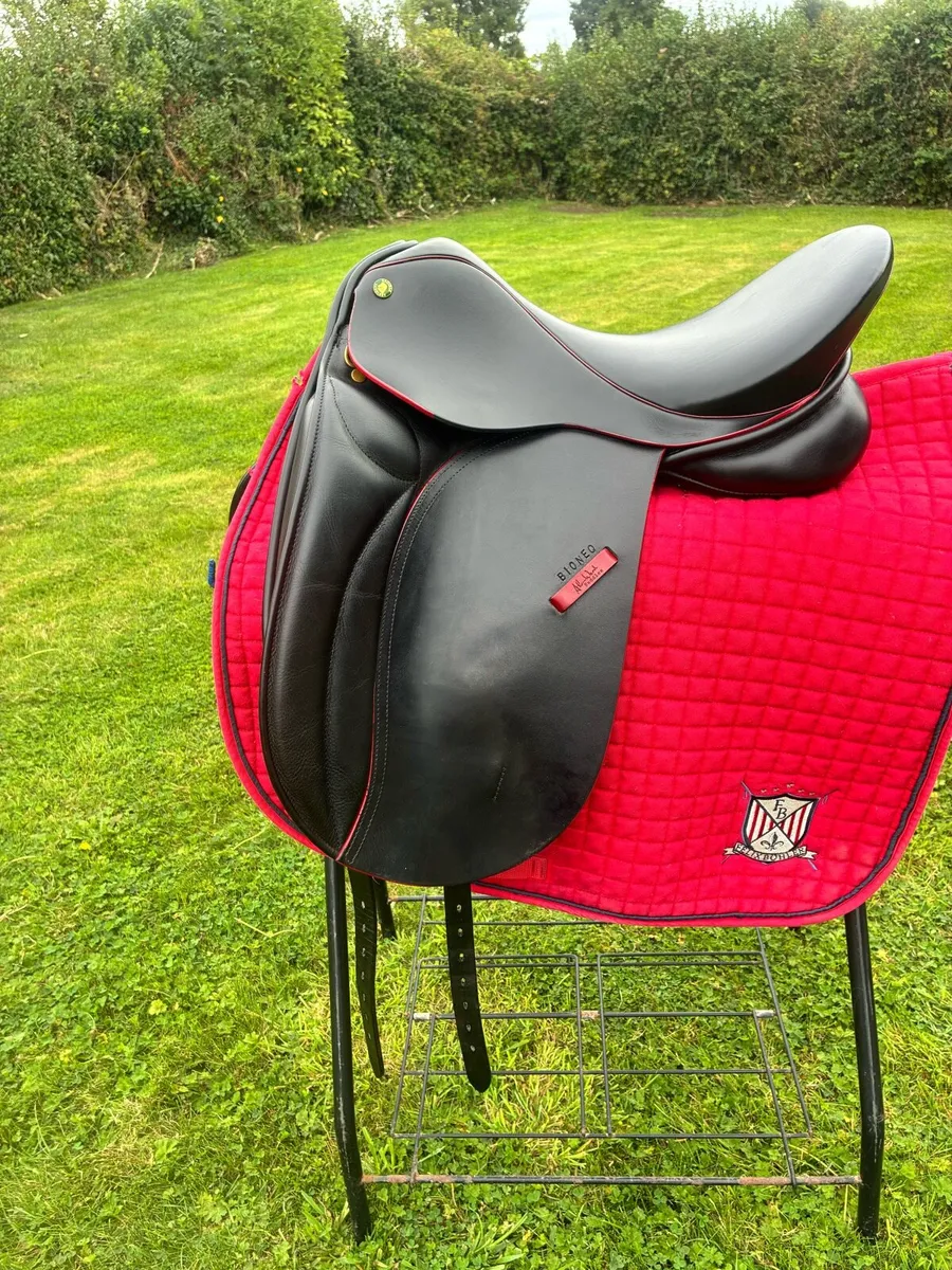 17”, Alan Ward Medium Dressage Saddle - Image 1