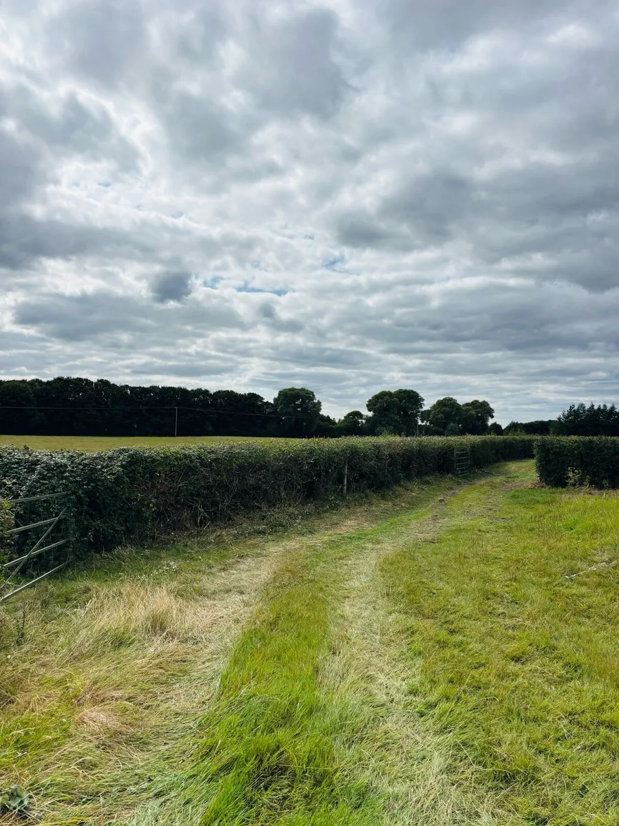 Hege Cutting and Flail Shredding Kildare - Image 4