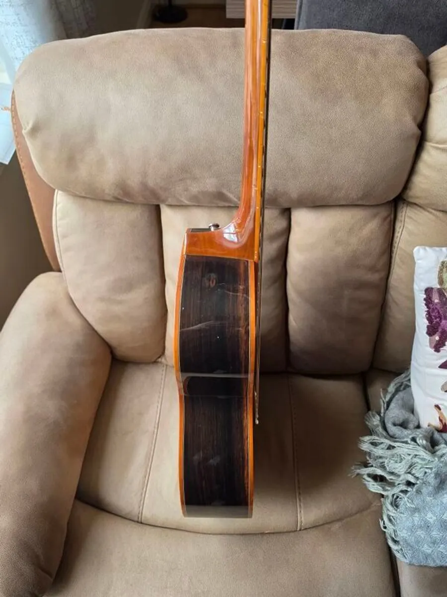 Tanglewood TWJP-E Parlor Guitar - Image 2