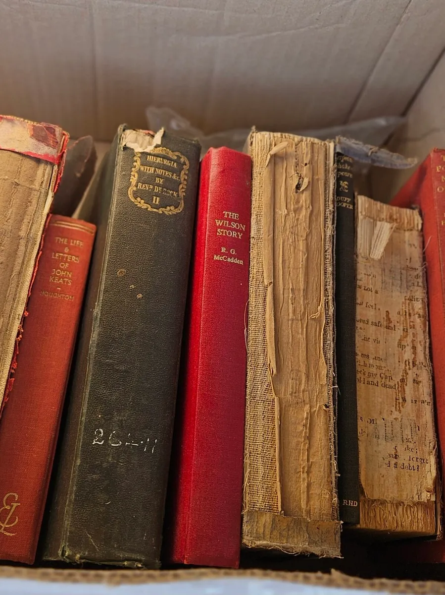 Bundle of Old Books - Image 2