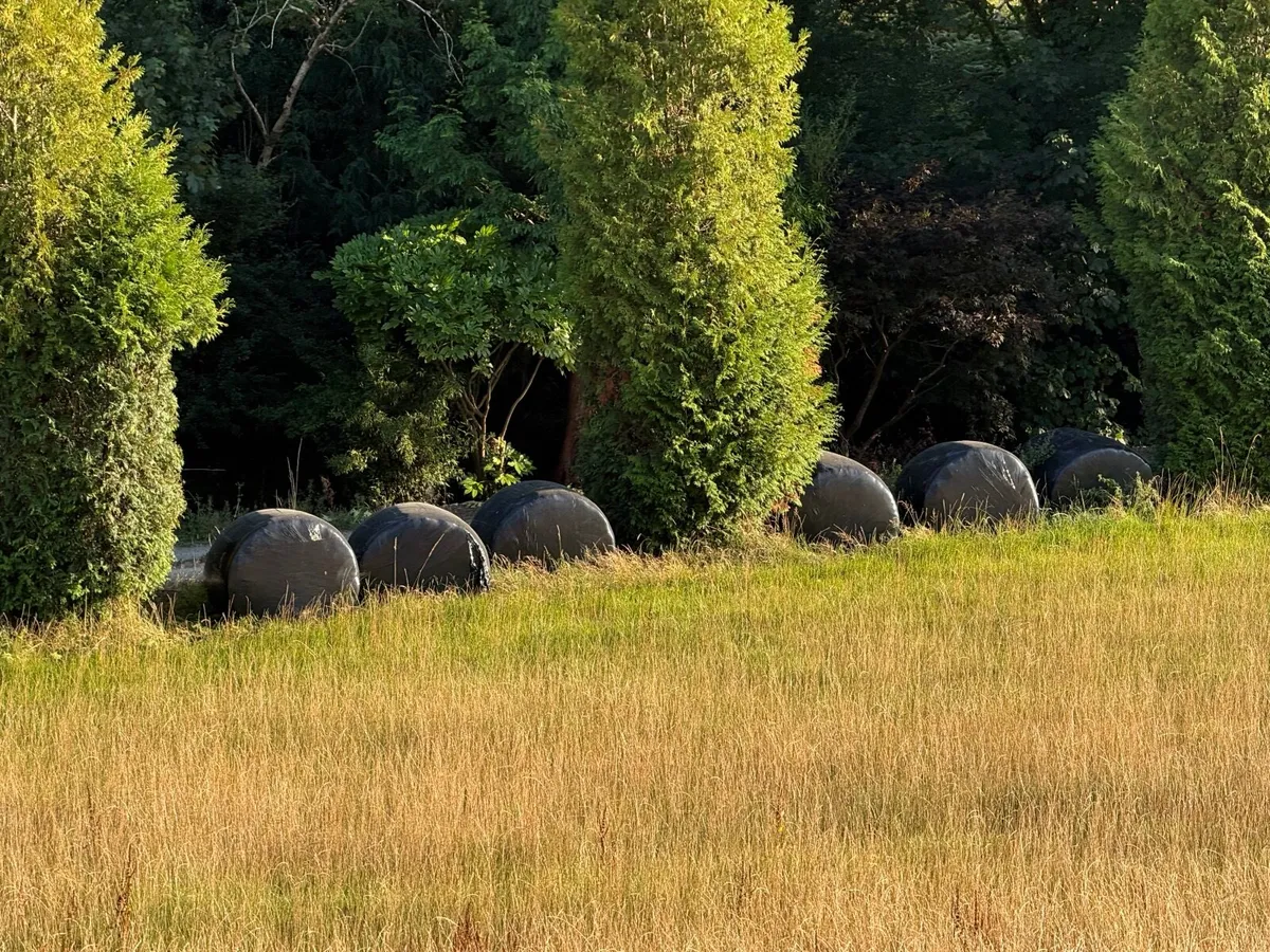 Silage bales - Image 2