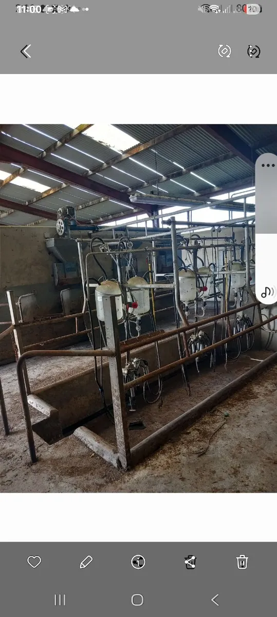 Dairy master 6 unit swing over milking  parlour - Image 1