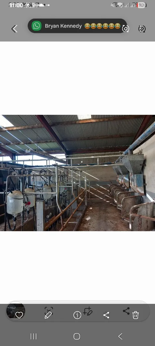 Dairy master 6 unit swing over milking  parlour - Image 2