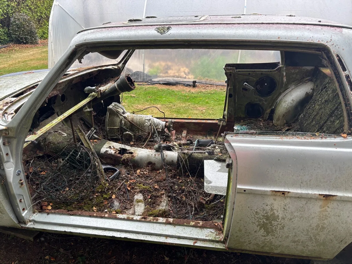 Mercedes w114 coupe - Image 1