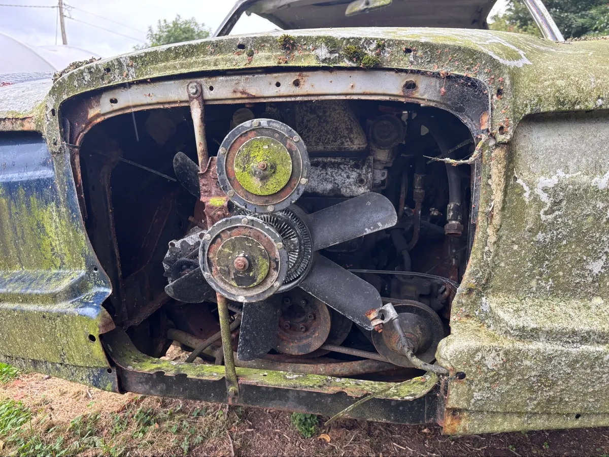 Mercedes w114 coupe - Image 2