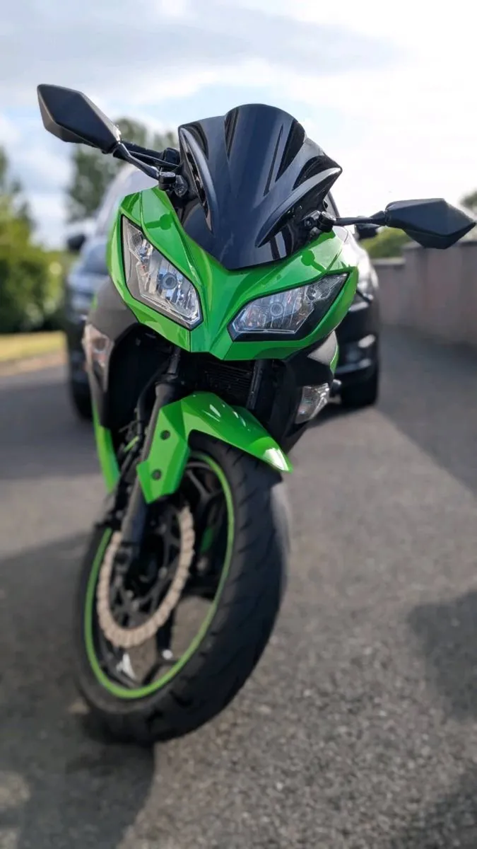 Kawasaki ninja 300 - Image 3
