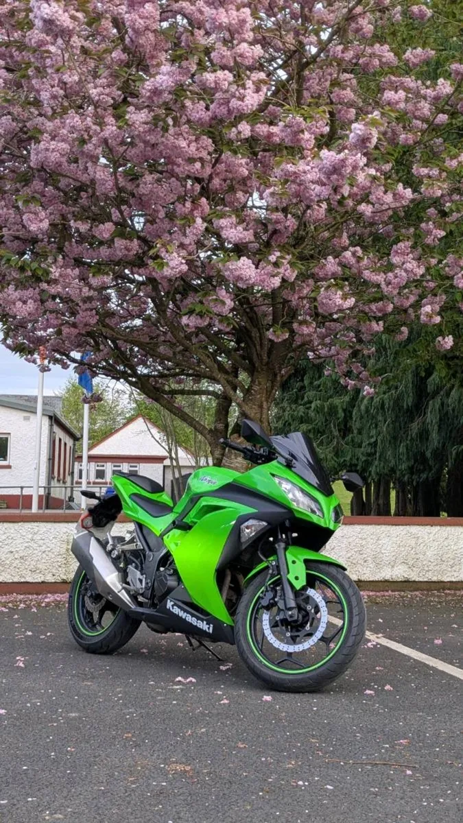 Kawasaki ninja 300 - Image 2