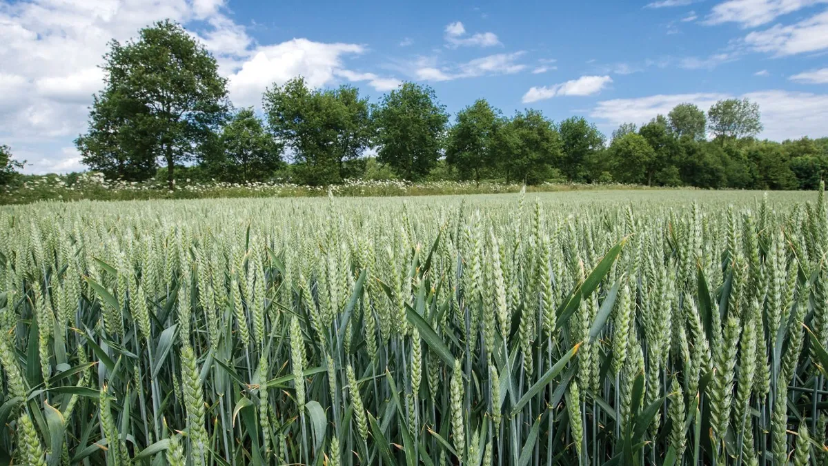 Young Farmer Seeking Land to Lease