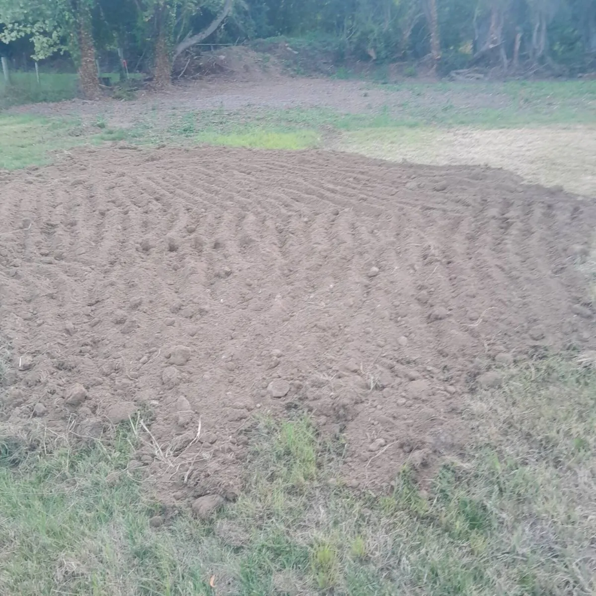 Topsoil for sale - Image 2