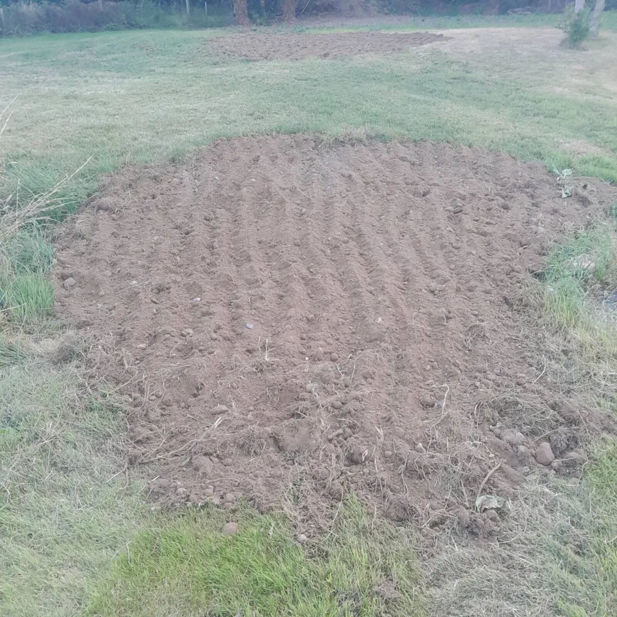 Topsoil for sale - Image 3