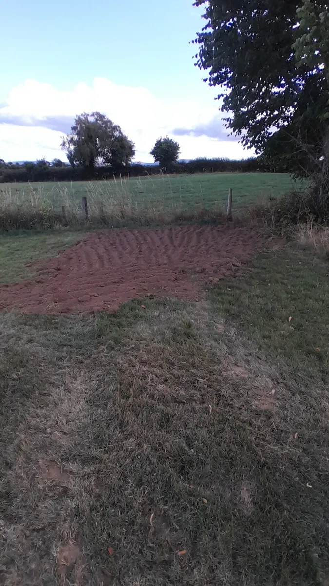 Mini digger hire - Image 3