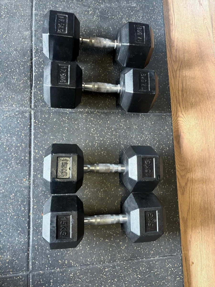 DUMBBELLS VARIOUS PRICES - Image 1