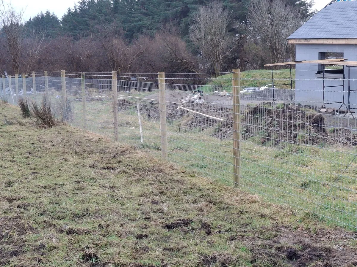 Fencing - Image 2