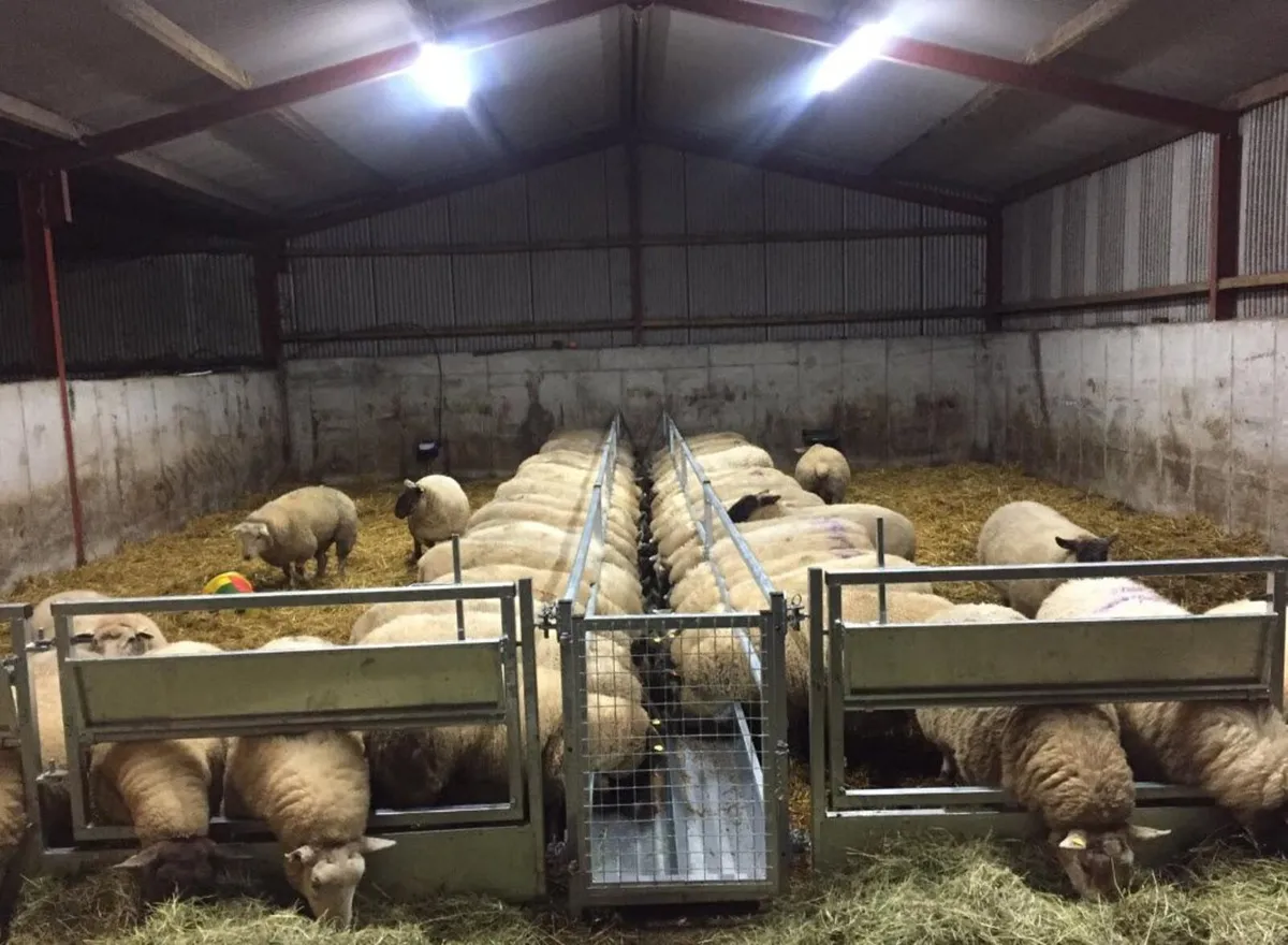 BALE FEEDERS - Image 3