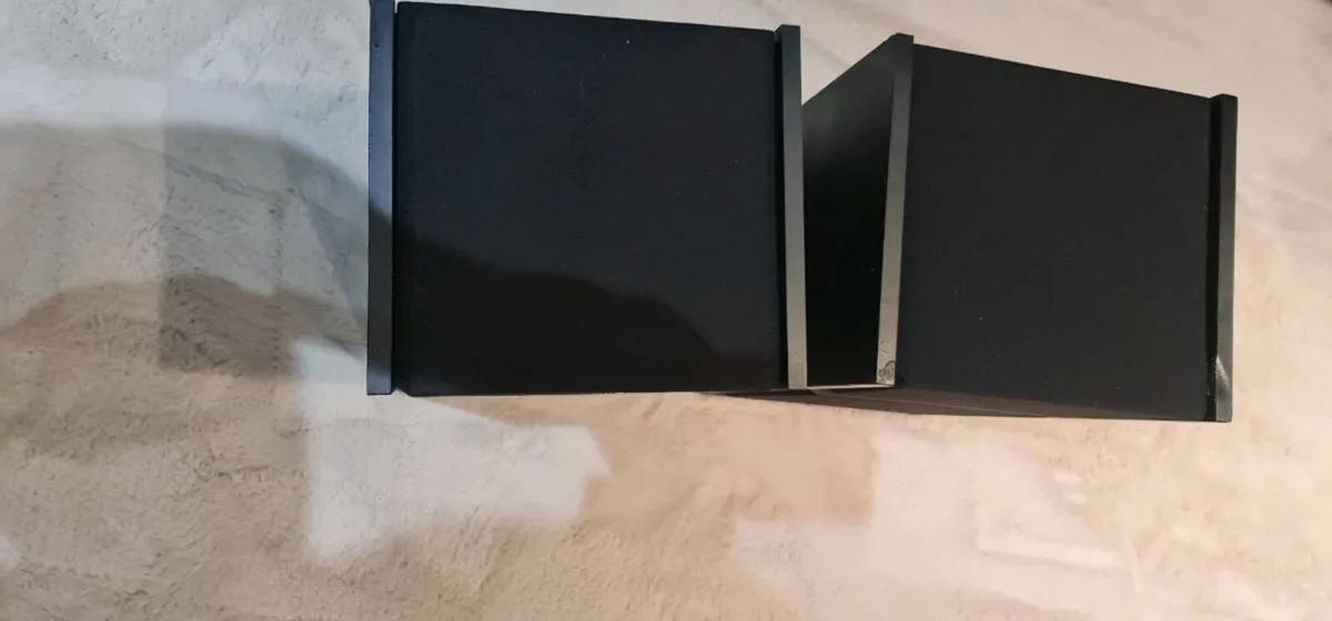 Bose 301 Series III Direct/Reflecting - Image 2