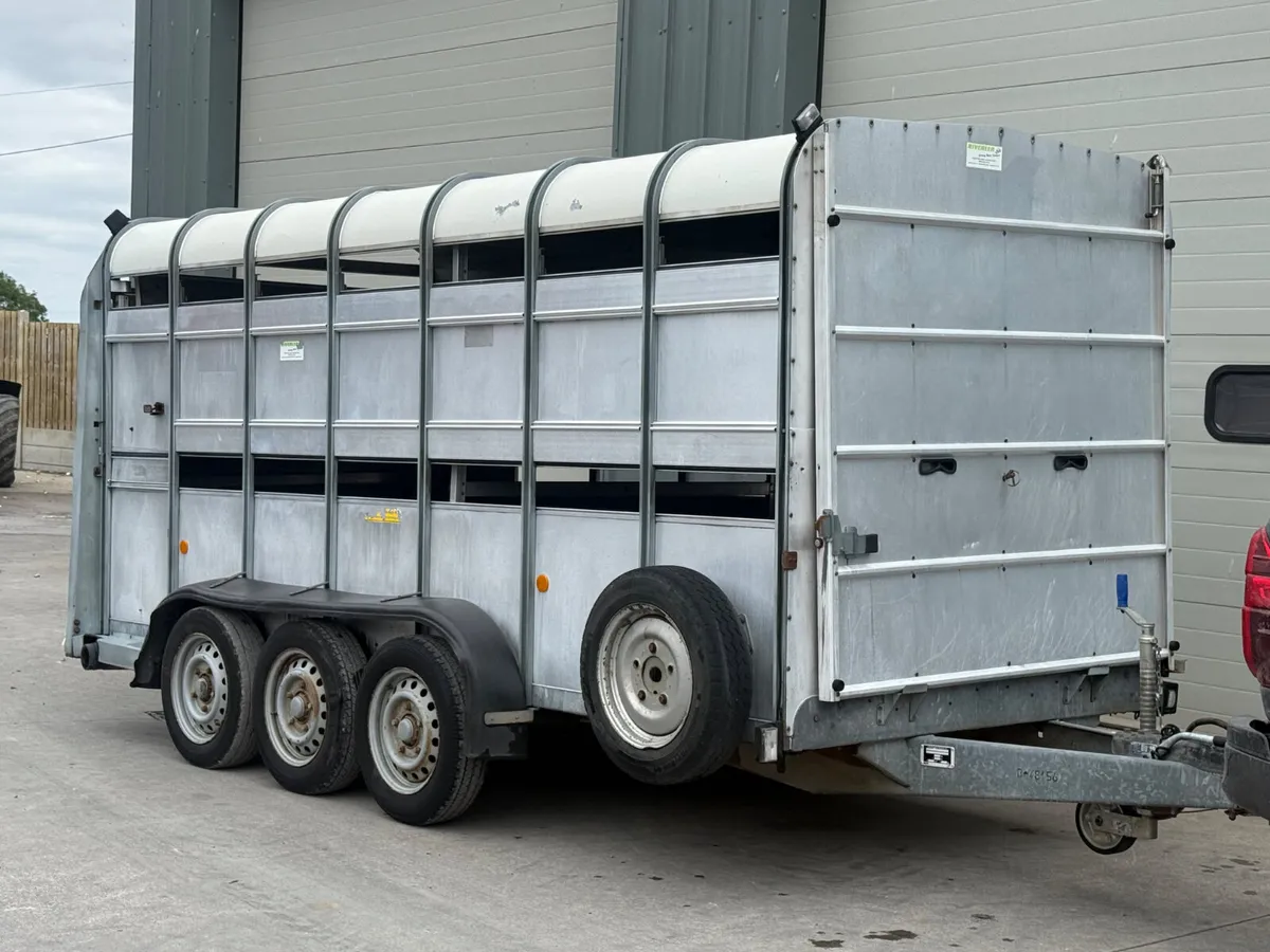 Ifor williams 14ft with decks - Image 4