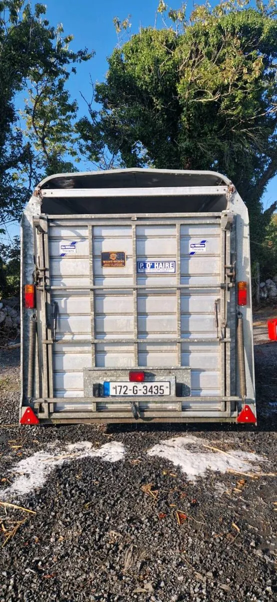 IFOR WILLIAMS 8x5 livestock trailer. With DECKS - Image 3