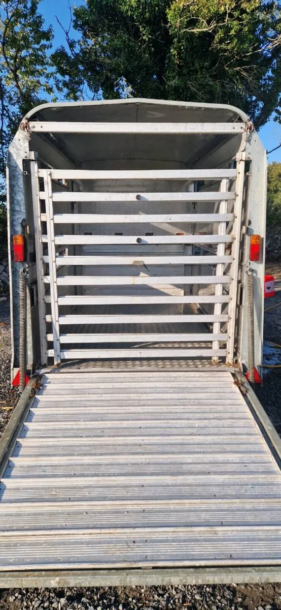 IFOR WILLIAMS 8x5 livestock trailer. With DECKS - Image 4