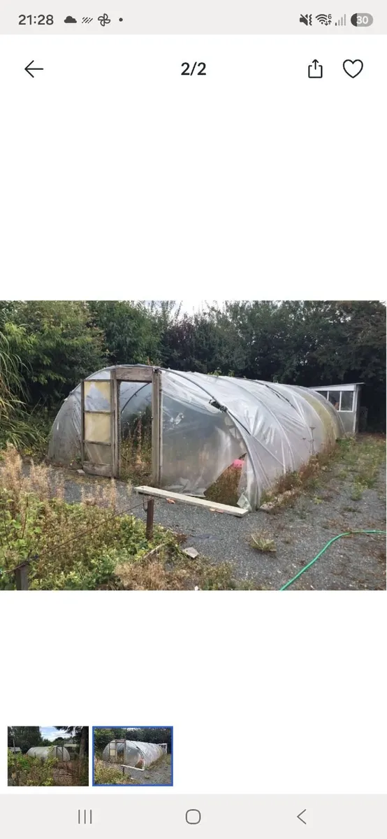 4 Polytunnels poly tunnel - Image 1