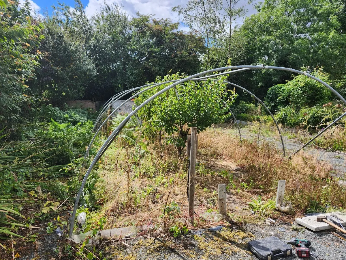 4 Polytunnels poly tunnel - Image 4