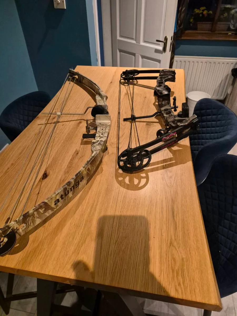 Compound Bow,Archery, with accessories - Image 1