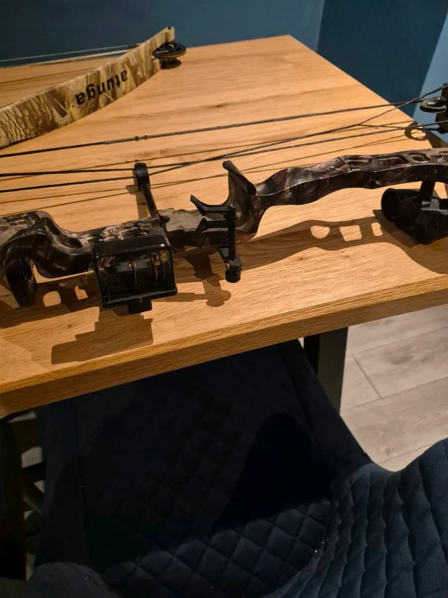 Compound Bow,Archery, with accessories - Image 2