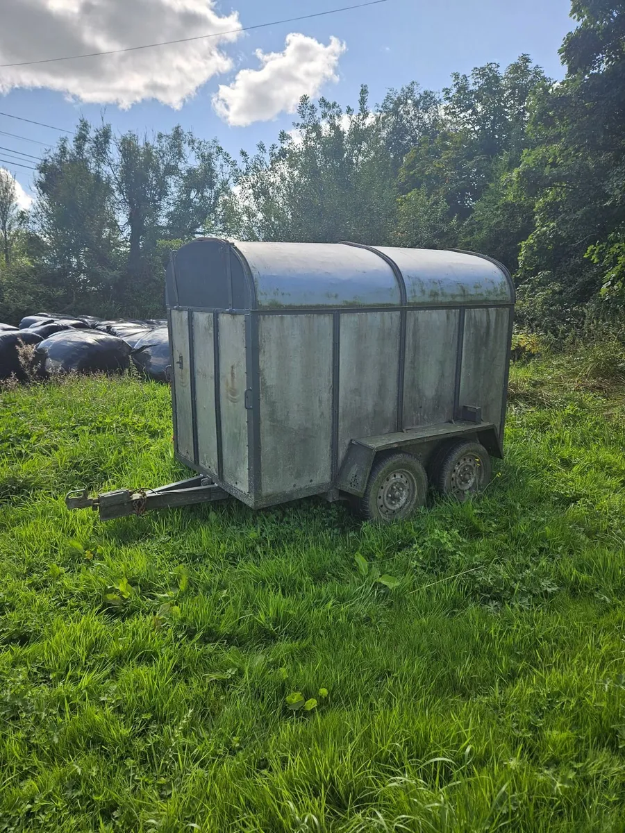 Cattle Trailer - Image 1
