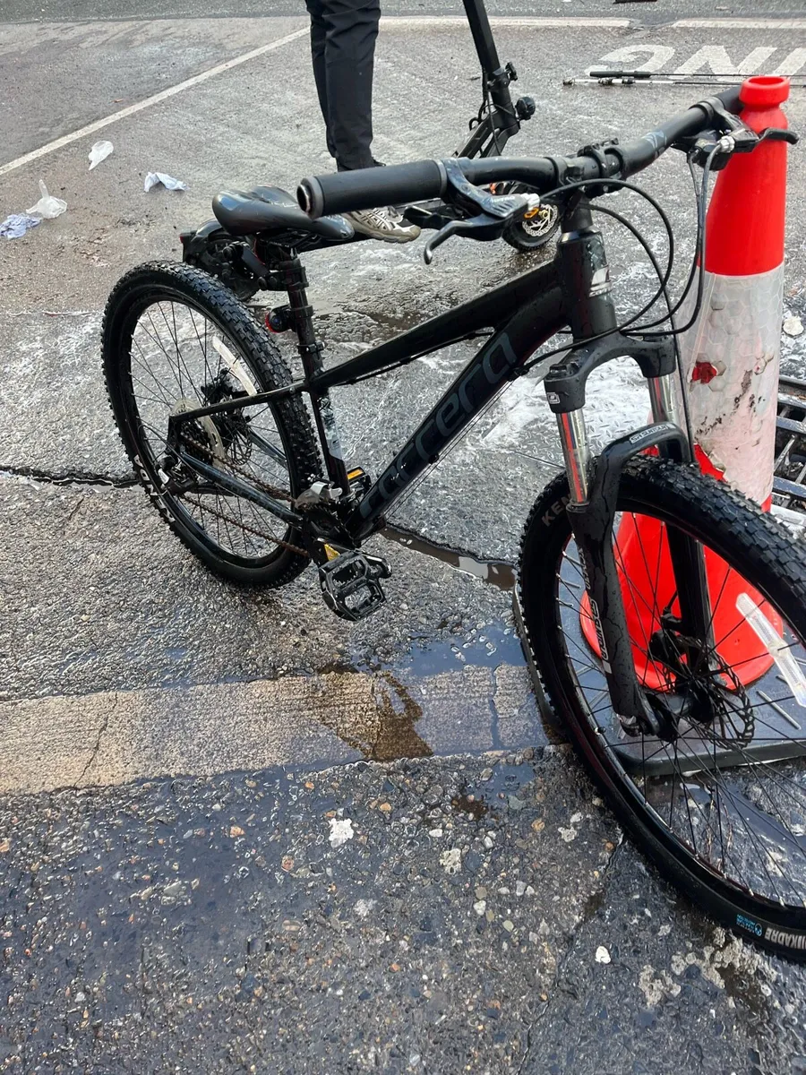 Mountain bike - Image 1