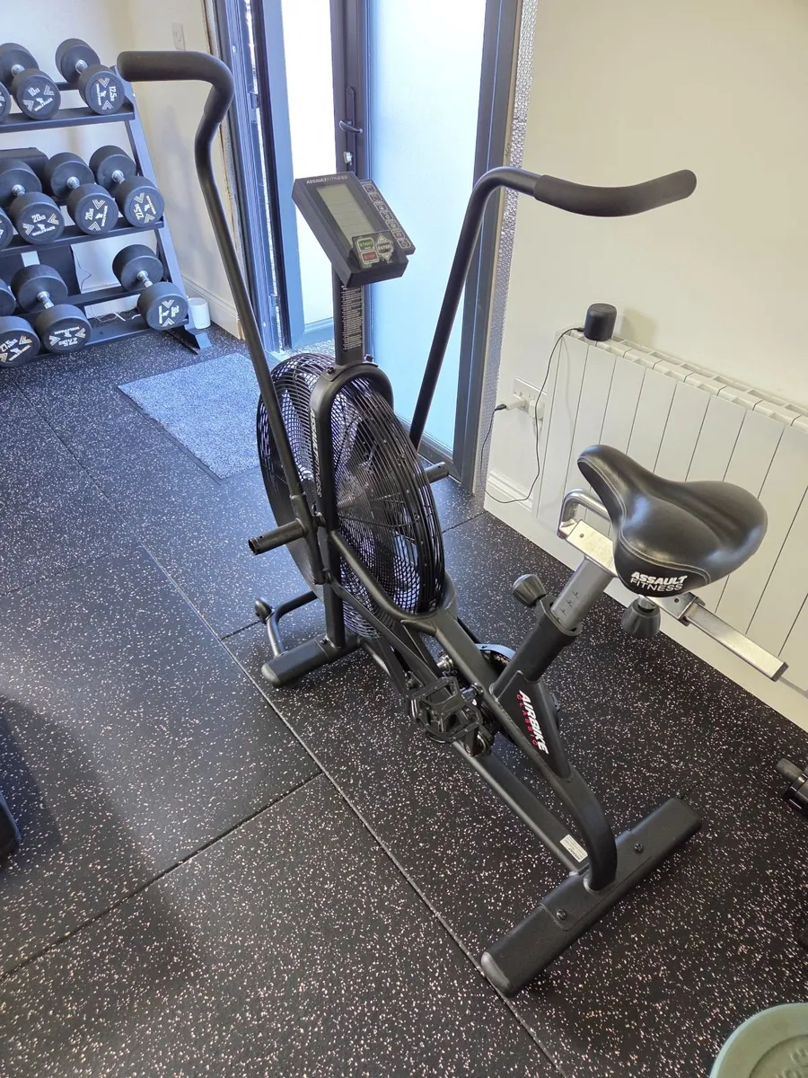 Assault Bike - Image 1