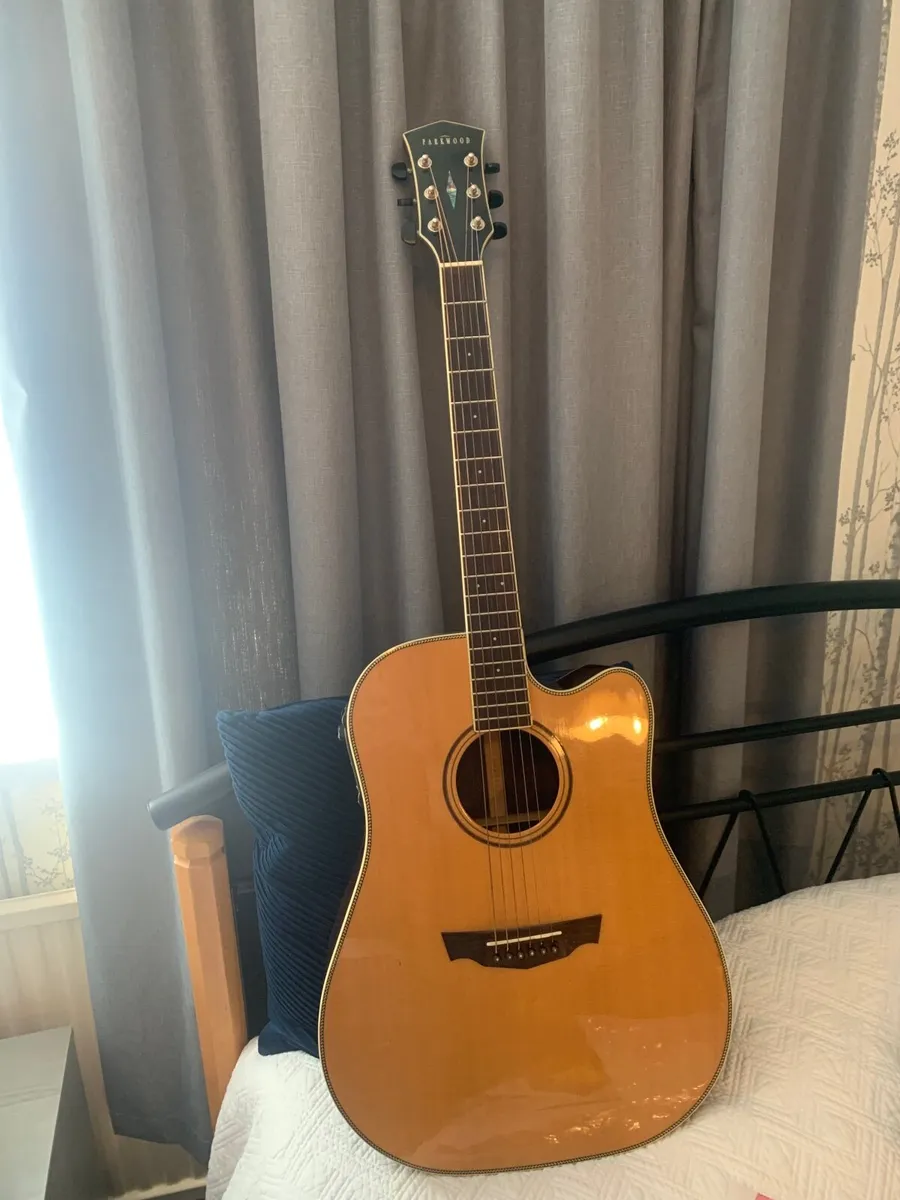 Parkwood  Simi acoustic guitar - Image 1