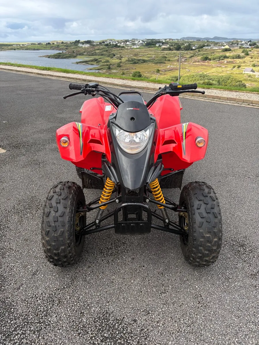 Quadzilla Stinger 100cc - Image 1
