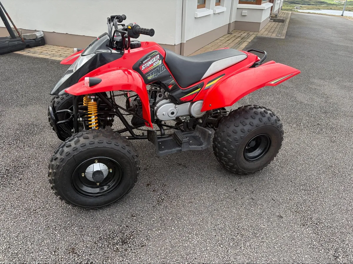 Quadzilla Stinger 100cc - Image 2