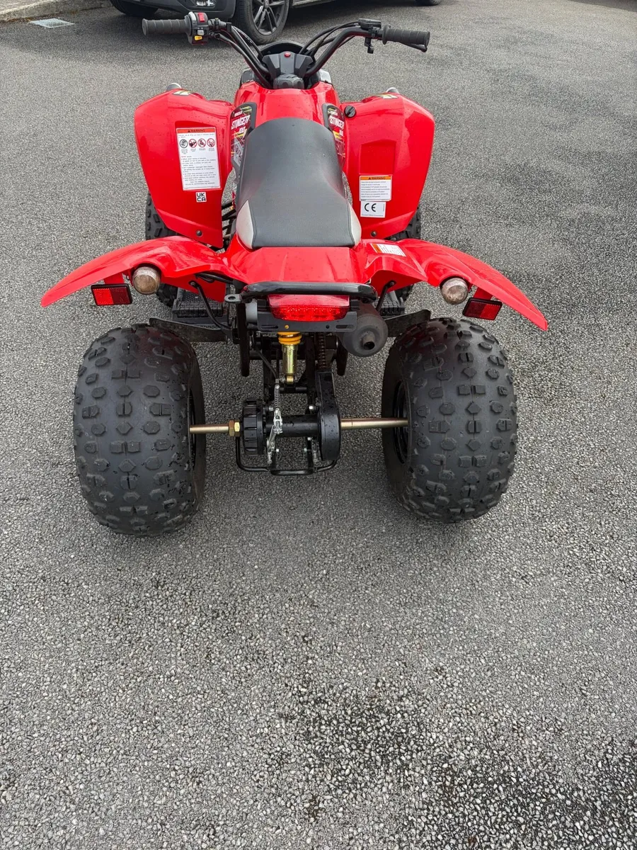 Quadzilla Stinger 100cc - Image 3