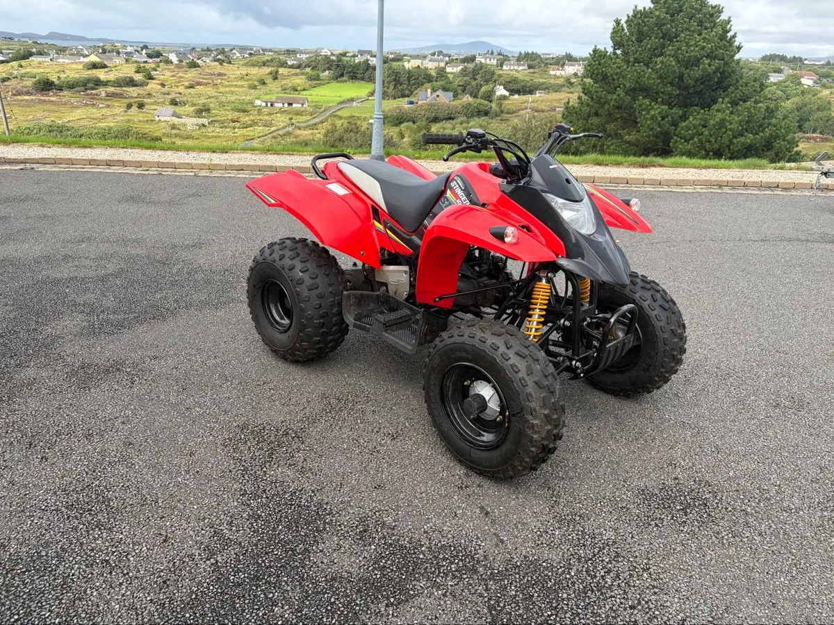 Quadzilla Stinger 100cc - Image 4
