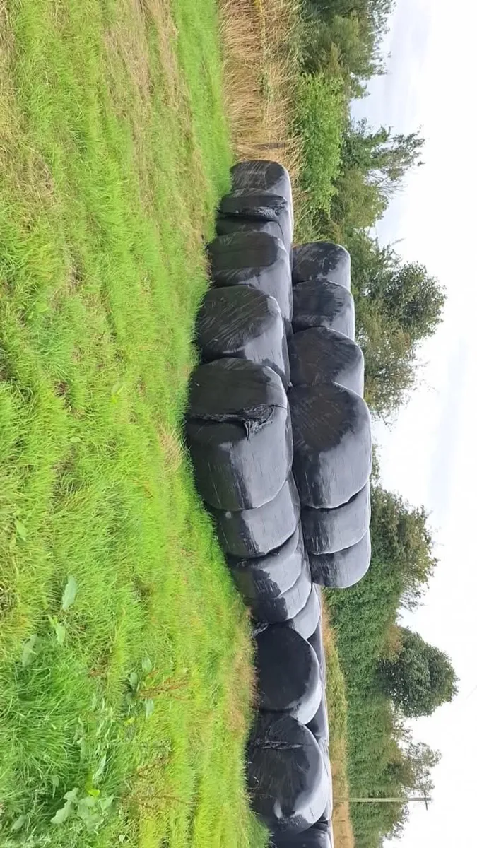 Quality Round Silage Bales
