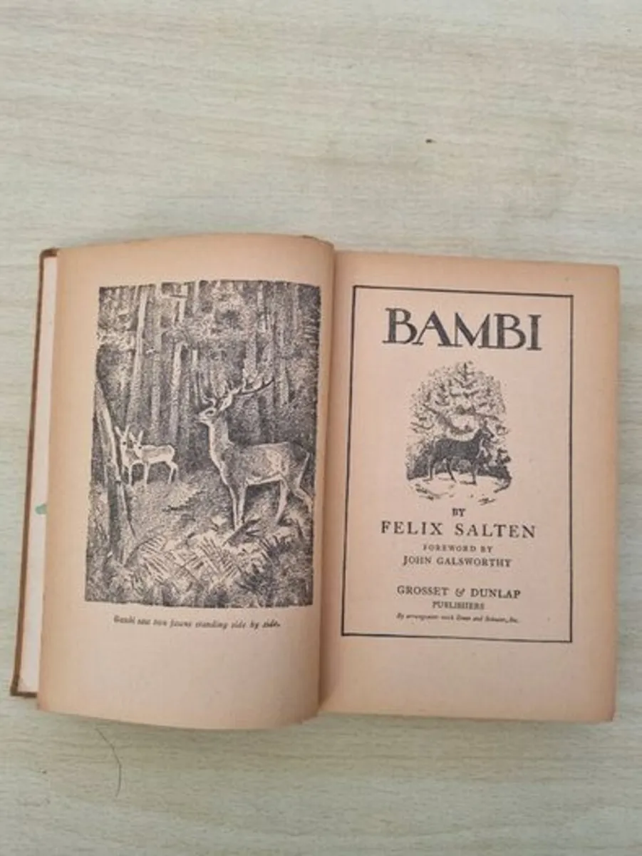 Bambi 1929 Hardcover Antique Book by Felix Salten - Image 2