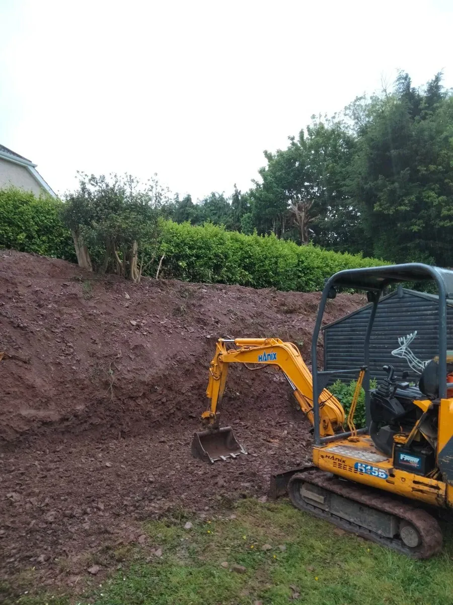 Diggers with drivers all work carried out - Image 3