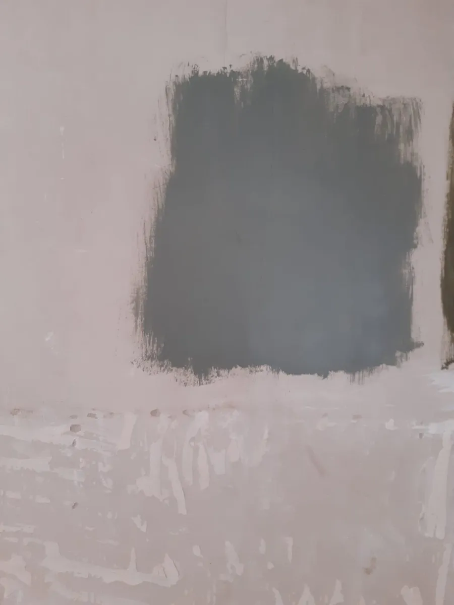2.5 LTS. Soft Sheen Emulsion. - Image 2