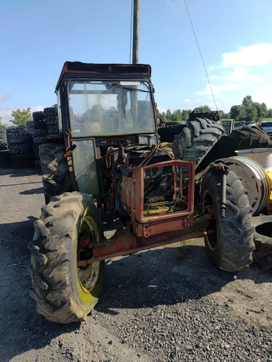 International - Image 1